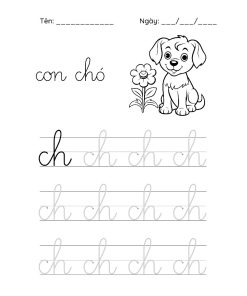Bộ 11 Tranh Chữ Cái Phụ Âm Ghép Tiếng Việt Cho Bé Tô Theo - Giúp Bé Tập Viết Chữ Ghép - Hình Tô Màu TV03