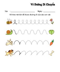 SET 15 TỜ TRANH TÔ THEO CÁC NÉT TM2048