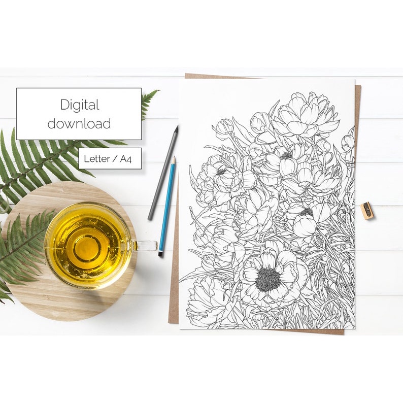line art tranh tô màu nước combo 5 tranh giấy TM173 4 images upload woo2F0b3c0278c1716b8498541423accf25db