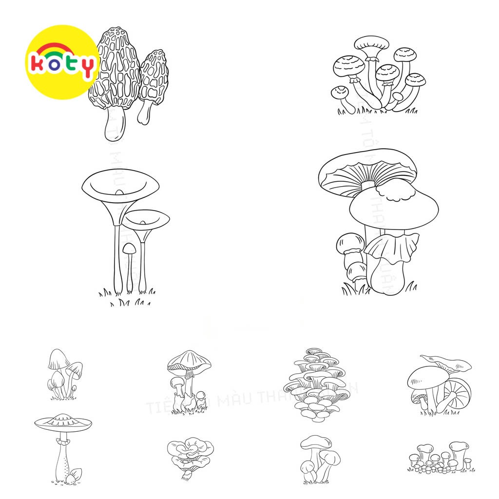 Set 50 Tờ Tranh Tô Màu Các Loại Nấm Tô Màu Sáp, Màu Chì - Tiệm Tô Màu 2 images upload woo2F1a4f53c46e44fba3d2065dc7e988a563