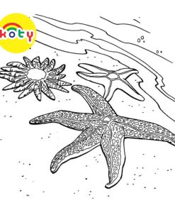 Sao biển Starfish - Set 20 Tờ Tranh Tô Màu A4 A5 Dành Cho Màu Sáp, Màu Chì - MANGA ANIME COMIC Tô Màu