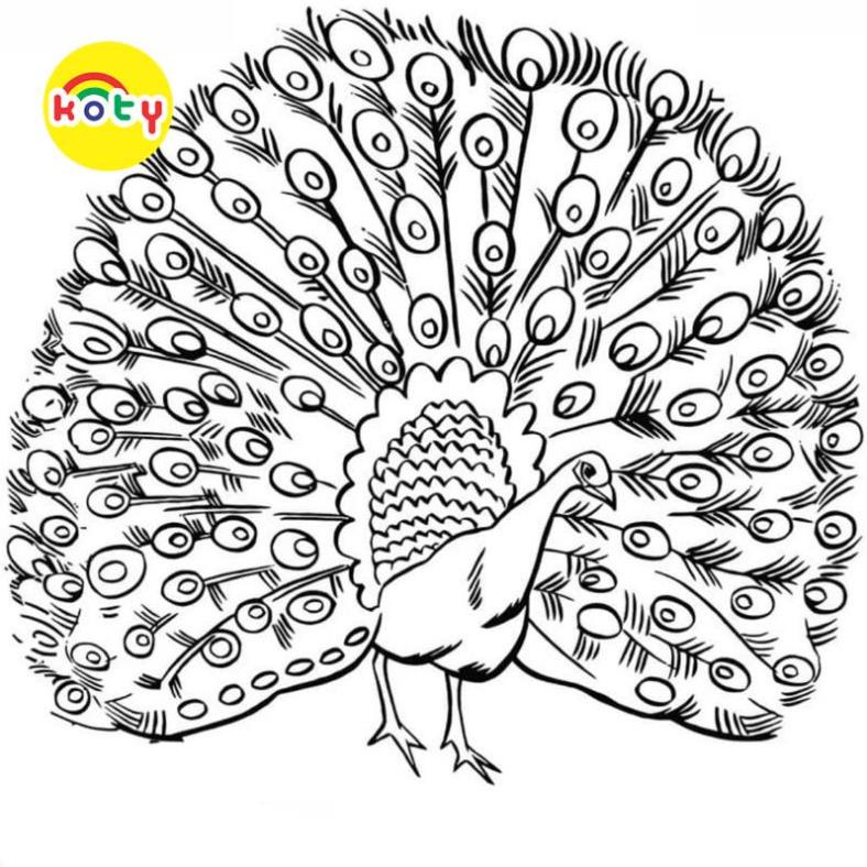 Tranh Tô Màu Chim công , khổng tước - Bộ 10 Tờ Tranh Tô Màu Dành Cho Màu Sáp, Màu Chì - TRANH TÔ MÀU KOTY 4 images upload woo2F585c6afd0ea74af7fbb02bc703667fb7