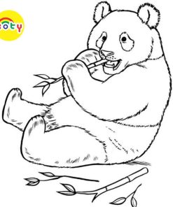 Tranh Tô Màu Gấu trúc Panda - Bộ 20 Tờ Tranh Tô Màu A4 A5 Dành Cho Màu Sáp, Màu Chì - TRANH TÔ MÀU KOTY 14 images upload woo2F5b41bae3d485f9e344c958e94225f34f