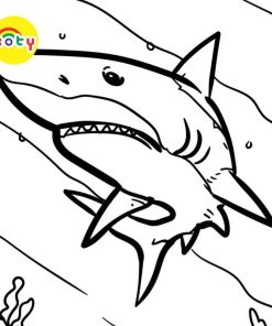 Tranh Tô Màu Shark Cá mập - Bộ 20 Tờ Tranh Tô Màu A4 A5 Dành Cho Màu Sáp, Màu Chì - TRANH TÔ MÀU KOTY TM2035 13 images upload woo2F5e280a27055ea3205aa8b03bfbff568e