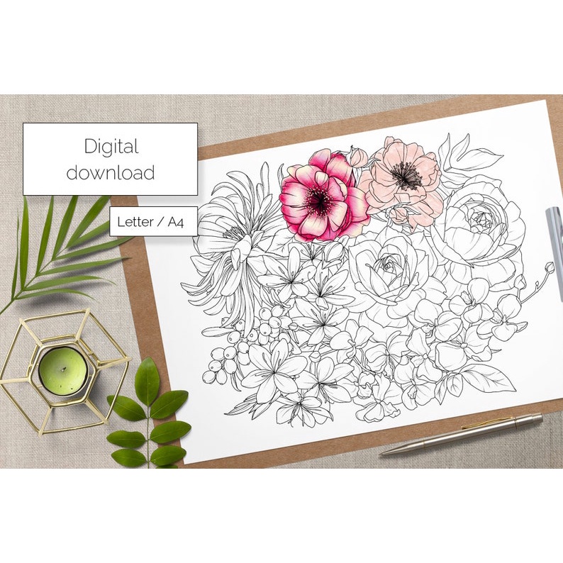 line art tranh tô màu nước combo 5 tranh giấy TM173 3 images upload woo2F681bece2c11a3af6039b517eab56b4b5