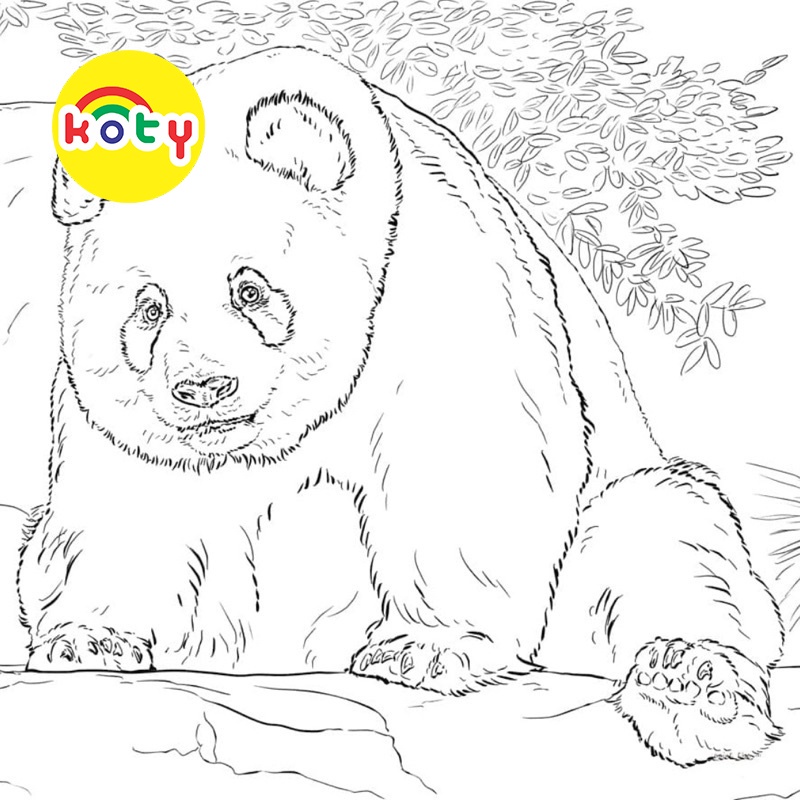 Gấu trúc Panda - Set 20 Tờ Tranh Tô Màu A4 A5 Dành Cho Màu Sáp, Màu Chì - MANGA ANIME COMIC Tô Màu 2 images upload woo2F6bff25521ebc7fee2f351cb4525cbfeb