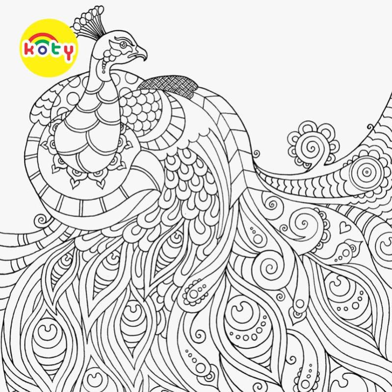 Tranh Tô Màu Chim công , khổng tước - Bộ 10 Tờ Tranh Tô Màu Dành Cho Màu Sáp, Màu Chì - TRANH TÔ MÀU KOTY 5 images upload woo2F8ec6ab063457129e779d2b323611d2a4