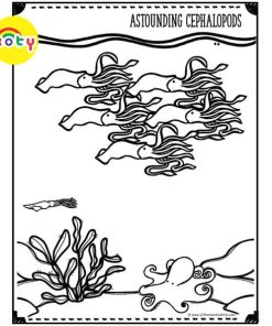 images upload woo2F90b4ab92f866012a2ab8ca4ed8a183f0