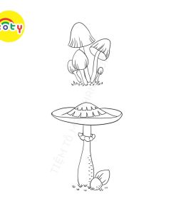 Set 50 Tờ Tranh Tô Màu Các Loại Nấm Tô Màu Sáp, Màu Chì - Tiệm Tô Màu 14 images upload woo2Fa0e5fa951c84705dbe50f05736ce8973