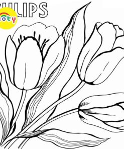 Tranh Tô Màu Hoa Tulip - Bộ 20 Tờ Tranh Tô Màu A4 A5 Dành Cho Màu Sáp, Màu Chì - TRANH TÔ MÀU KOTY