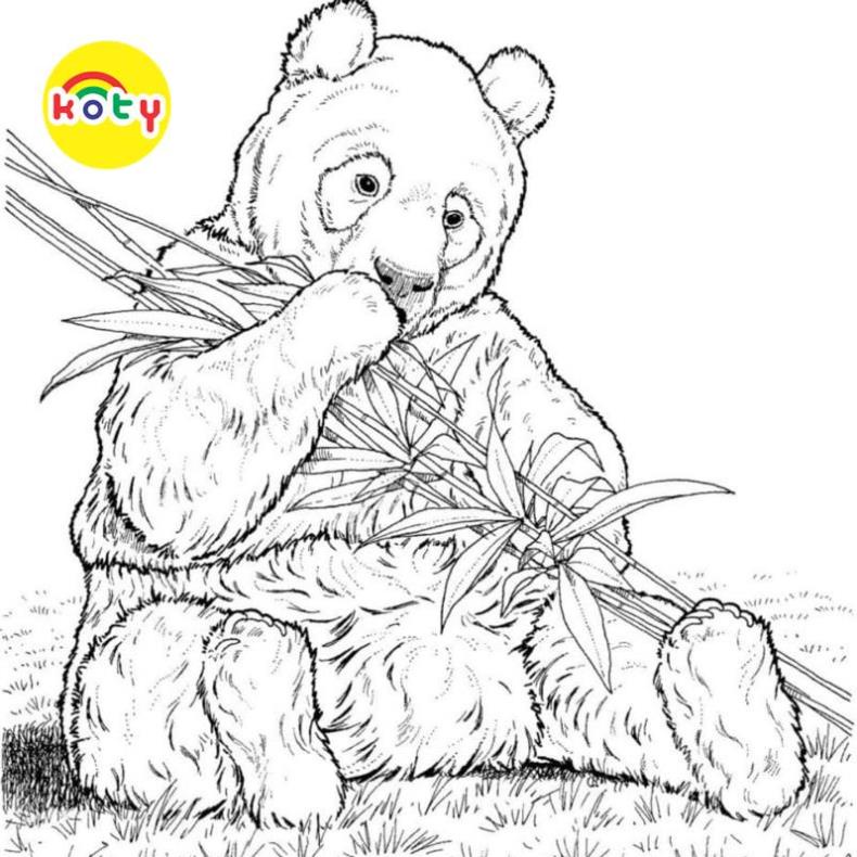 Tranh Tô Màu Gấu trúc Panda - Bộ 20 Tờ Tranh Tô Màu A4 A5 Dành Cho Màu Sáp, Màu Chì - TRANH TÔ MÀU KOTY 4 images upload woo2Fcc5847e875c141a4c96991a38bbc9c79