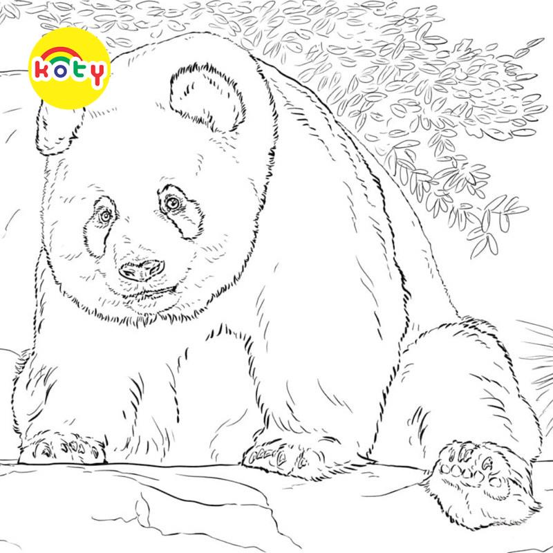 Tranh Tô Màu Gấu trúc Panda - Bộ 20 Tờ Tranh Tô Màu A4 A5 Dành Cho Màu Sáp, Màu Chì - TRANH TÔ MÀU KOTY 2 images upload woo2Fcff799e308f5c9cd161534b39251795a