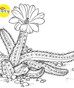 images upload woo2Fdc4fc40614f721e7fcdef9cf241b14f5