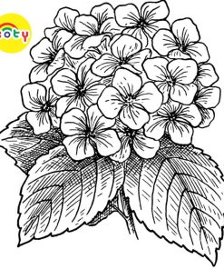 images upload woo2Fddd5fe4583ce7d60336f7c2347148950