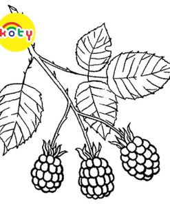 Set 50 Tờ Các loại trái cây (Fruits) - Set 50 Tờ Tranh Tô Màu Cho Màu Sáp, Màu Chì - KOTY shop TM177 11 images upload woo2Fde5c88f5dc8657418611c3a1cd59e85b