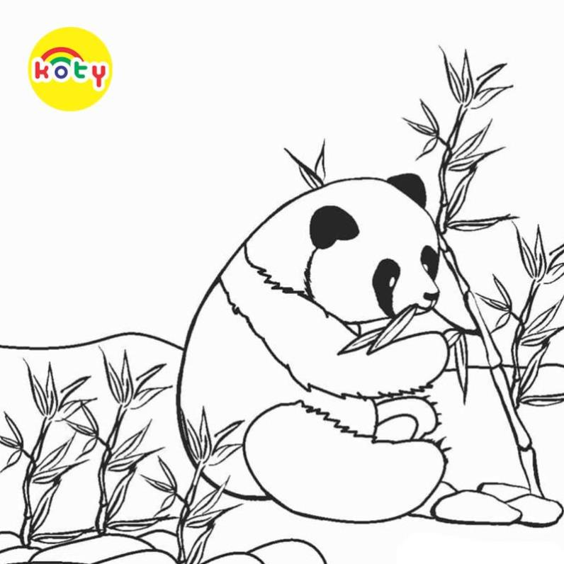 Tranh Tô Màu Gấu trúc Panda - Bộ 20 Tờ Tranh Tô Màu A4 A5 Dành Cho Màu Sáp, Màu Chì - TRANH TÔ MÀU KOTY 5 images upload woo2Fe74580212a6f6b93f187f18d33798821